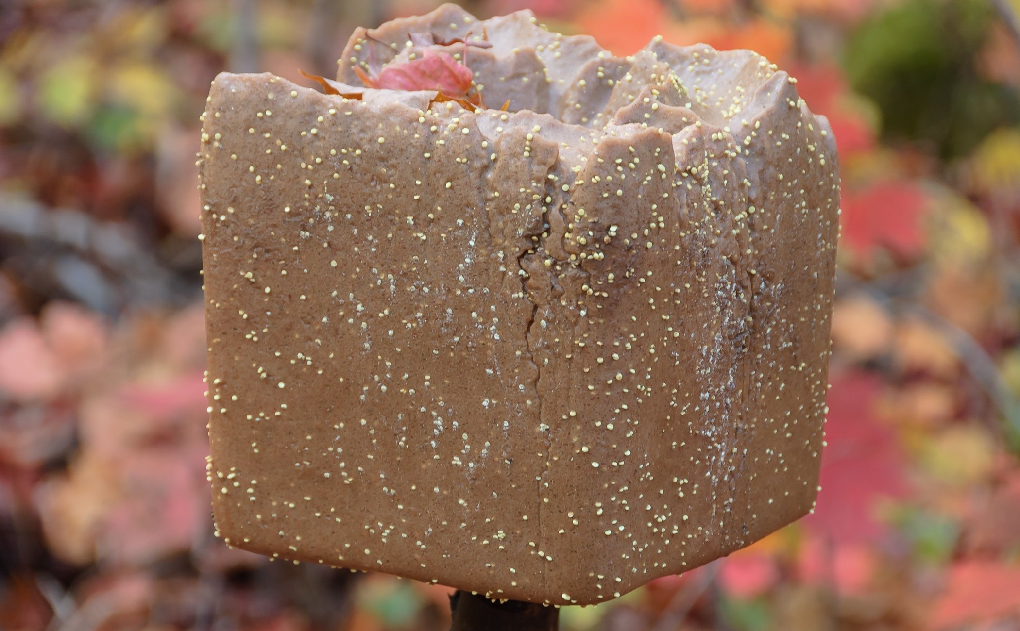 salt-block-for-deer-mineral-block-or-mined-rock